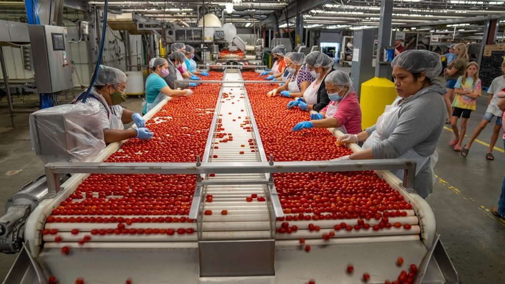 ERP for Food and Beverage Manufacturing: A Guide for India and APAC Producers 
